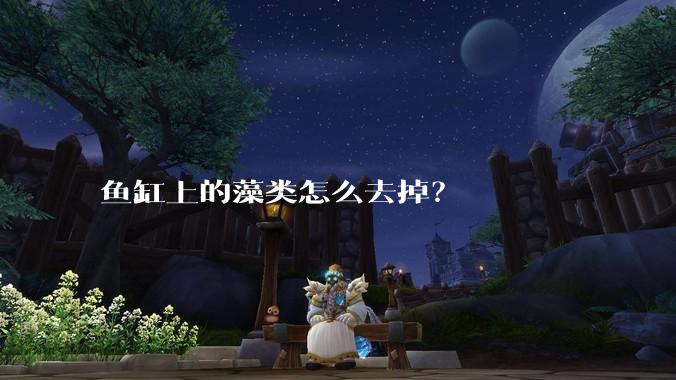 鱼缸上的藻类怎么去掉？